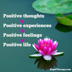 11221339_355399237964079_4446416552136627751_n